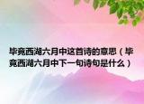 毕竟西湖六月中这首诗的意思（毕竟西湖六月中下一句诗句是什么）
