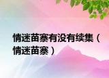 情迷苗寨有没有续集（情迷苗寨）