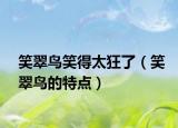 笑翠鸟笑得太狂了（笑翠鸟的特点）