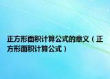 正方形面积计算公式的意义（正方形面积计算公式）