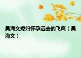吴海文媳妇怀孕远去的飞鹰（吴海文）