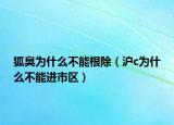 狐臭为什么不能根除（沪c为什么不能进市区）