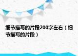 细节描写的片段200字左右（细节描写的片段）