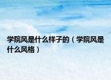 学院风是什么样子的（学院风是什么风格）