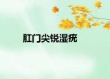 肛门尖锐湿疣