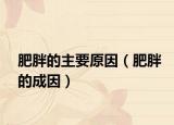 肥胖的主要原因（肥胖的成因）