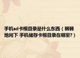 手机sd卡根目录是什么东西（弱弱地问下 手机储存卡根目录在哪里?）
