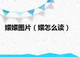 嬛嬛图片（嬛怎么读）
