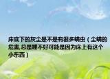 床底下的灰尘是不是有很多螨虫（尘螨的危害,总是睡不好可能是因为床上有这个小东西）
