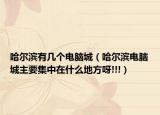 哈尔滨有几个电脑城（哈尔滨电脑城主要集中在什么地方呀!!!）