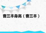 曹三丰身高（曹三丰）