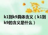 k1到k9具体含义（k1到k9的含义是什么）