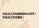 社会主义文化建设的中心环节（社会主义文化建设）