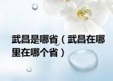 武昌是哪省（武昌在哪里在哪个省）