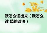豉怎么读出来（豉怎么读 豉的读法）