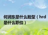 何润东是什么脸型（hrd是什么职位）