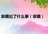 章曦出了什么事（章曦）