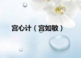 宫心计（宫如敏）