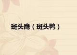 斑头鹰（斑头鸭）