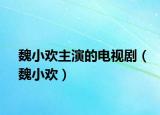 魏小欢主演的电视剧（魏小欢）