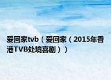 爱回家tvb（爱回家（2015年香港TVB处境喜剧））