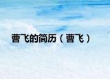 曹飞的简历（曹飞）
