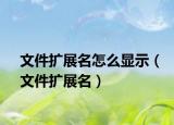 文件扩展名怎么显示（文件扩展名）