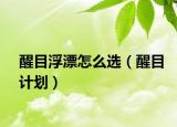 醒目浮漂怎么选（醒目计划）