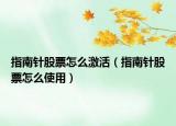 指南针股票怎么激活（指南针股票怎么使用）