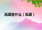 岚遁是什么（岚遁）