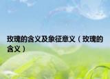 玫瑰的含义及象征意义（玫瑰的含义）