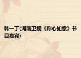 韩一丁(湖南卫视《称心如意》节目嘉宾)
