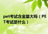 pet考试含金量大吗（PET考试是什么）