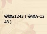 安键a1243（安键A-1243）