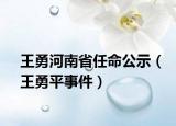 王勇河南省任命公示（王勇平事件）