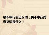 祸不单行的近义词（祸不单行的近义词是什么）