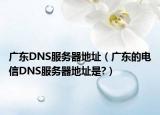 广东DNS服务器地址（广东的电信DNS服务器地址是?）