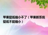 苹果壁纸缩小不了（苹果新系统壁纸不能缩小）