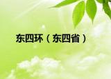 东四环（东四省）
