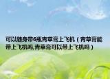 可以随身带6瓶青草膏上飞机（青草膏能带上飞机吗,青草膏可以带上飞机吗）