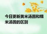今日更新黄米汤圆和糯米汤圆的区别