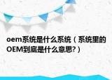 oem系统是什么系统（系统里的OEM到底是什么意思?）
