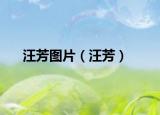 汪芳图片（汪芳）