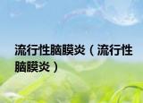 流行性脑膜炎（流行性脑膜炎）