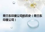 荷兰东印度公司的历史（荷兰东印度公司）