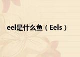 eel是什么鱼（Eels）