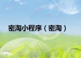 密淘小程序（密淘）