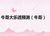 牛哥大乐透预测（牛哥）