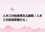 入木三分的意思怎么解释（入木三分的意思是什么）