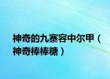 神奇的九寨容中尔甲（神奇棒棒糖）